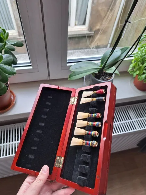 1pcs Bassoon Reed Storage Case - Musical Instrument Bassoon review and price