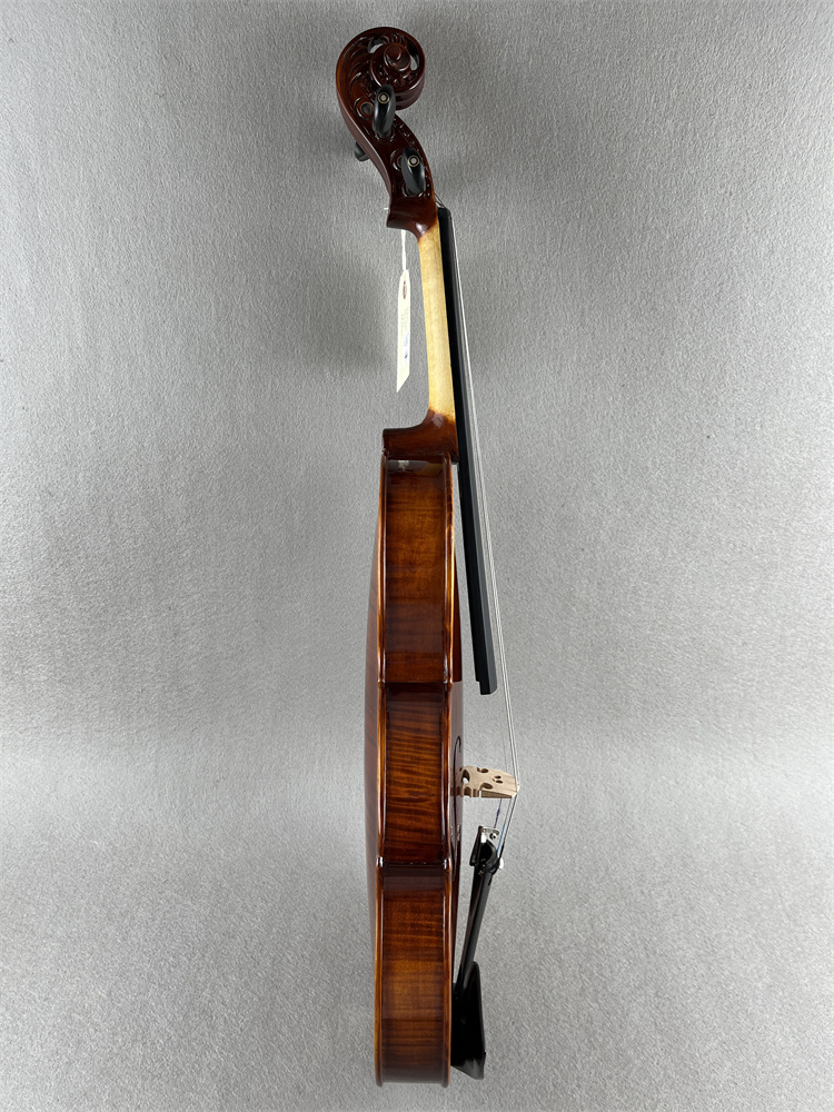 ACTUAL PHOTO Special Shell Inl - Musical Instrument Photo review and price